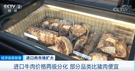 進口牛肉價格為何跌破豬肉價？背后的市場邏輯解析